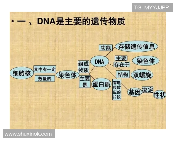 足球明星儿子身高揭秘与父亲的遗传基因关系分析