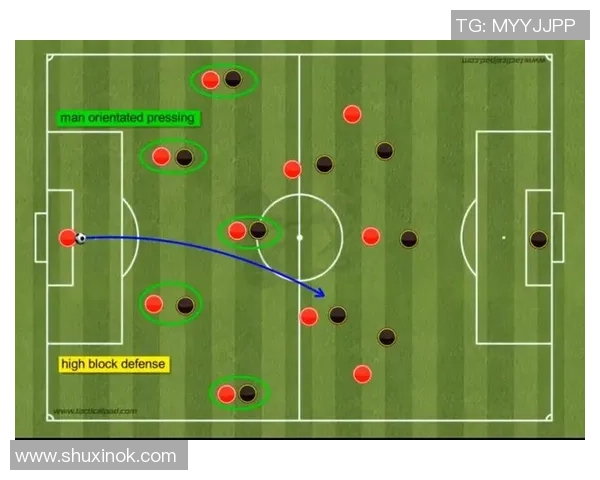 北京足球队区域防守体系解析与战术应用研究